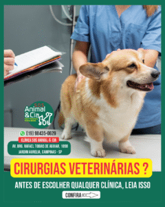 cirurgias para pets