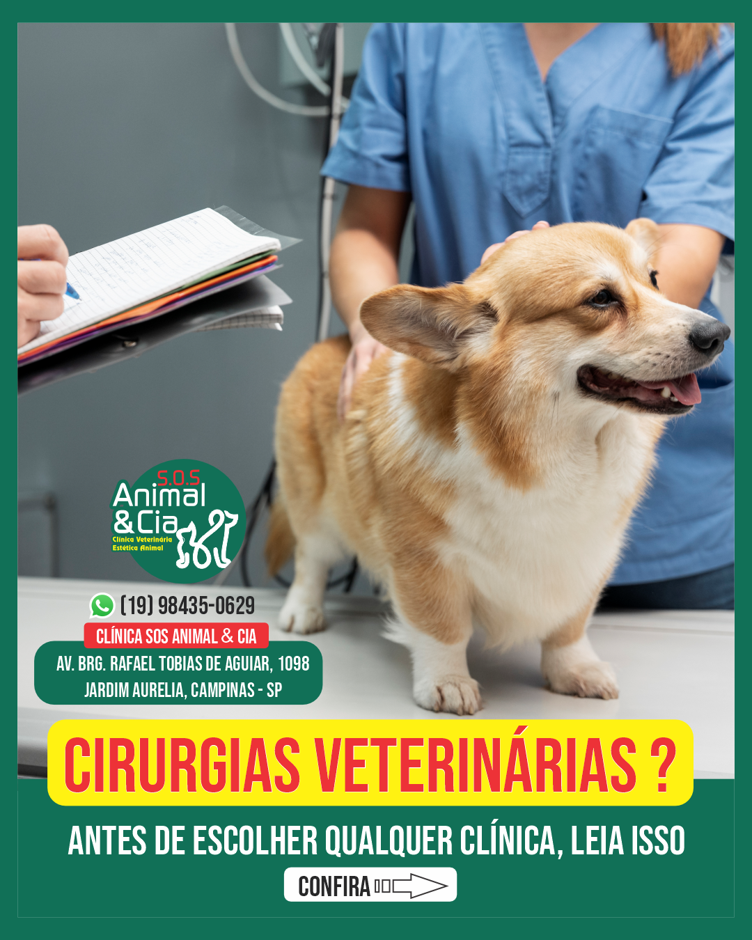 cirurgias para pets