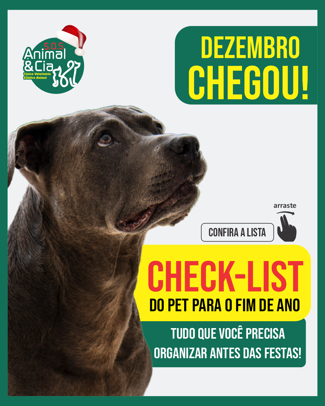 Clínica veterinária